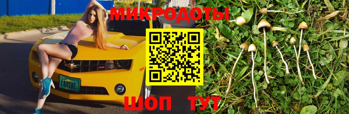 Псилоцибиновые грибы мухоморы Отрадный