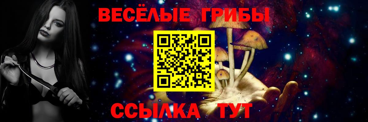 Галлюциногенные грибы Cubensis  Галлюциногенные грибы MAGIC MUSHROOMS  Отрадный  Вход с VPN 